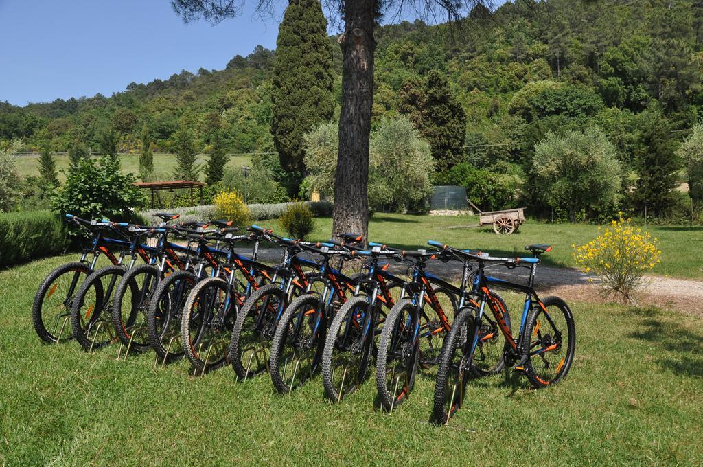 Agriturismo Eco-Bio Belmonte Vacanze Montaione Dış mekan fotoğraf
