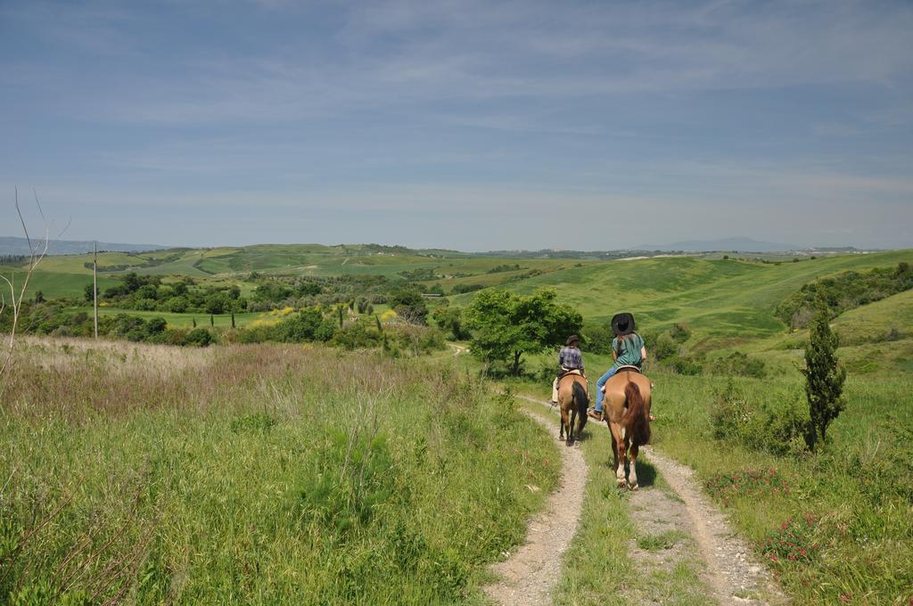 Agriturismo Eco-Bio Belmonte Vacanze Montaione Dış mekan fotoğraf