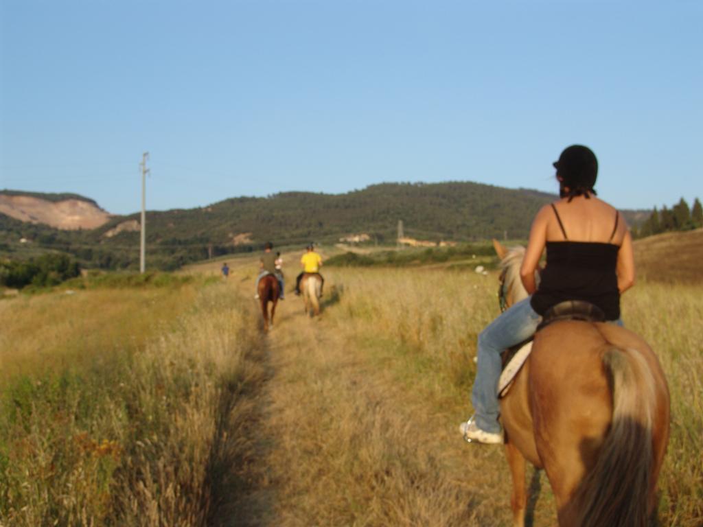 Agriturismo Eco-Bio Belmonte Vacanze Montaione Dış mekan fotoğraf