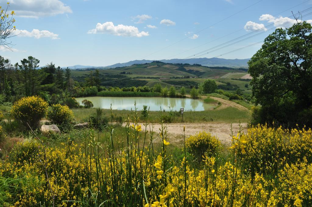 Agriturismo Eco-Bio Belmonte Vacanze Montaione Dış mekan fotoğraf