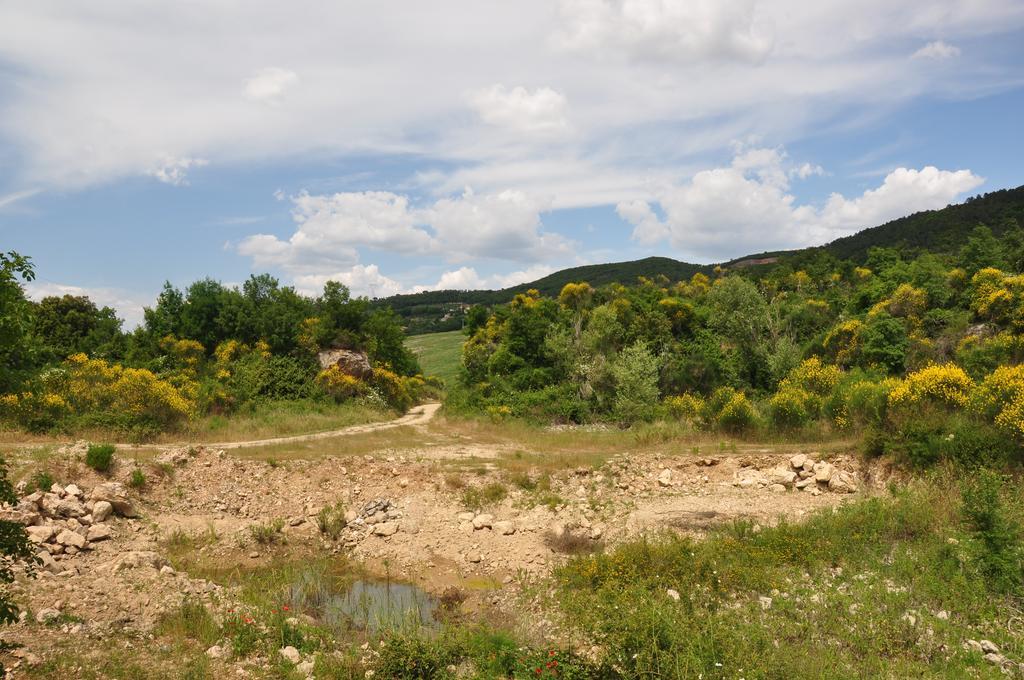 Agriturismo Eco-Bio Belmonte Vacanze Montaione Dış mekan fotoğraf
