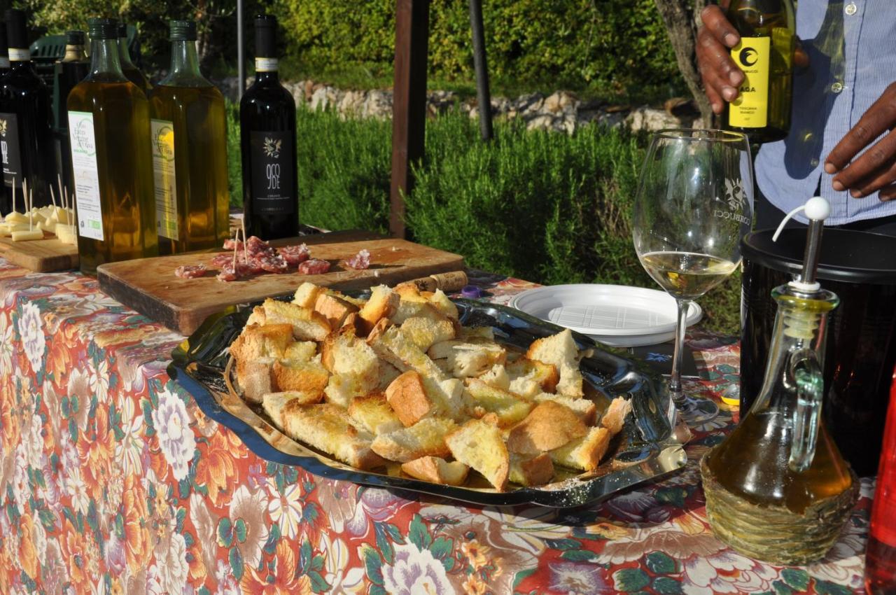 Agriturismo Eco-Bio Belmonte Vacanze Montaione Dış mekan fotoğraf