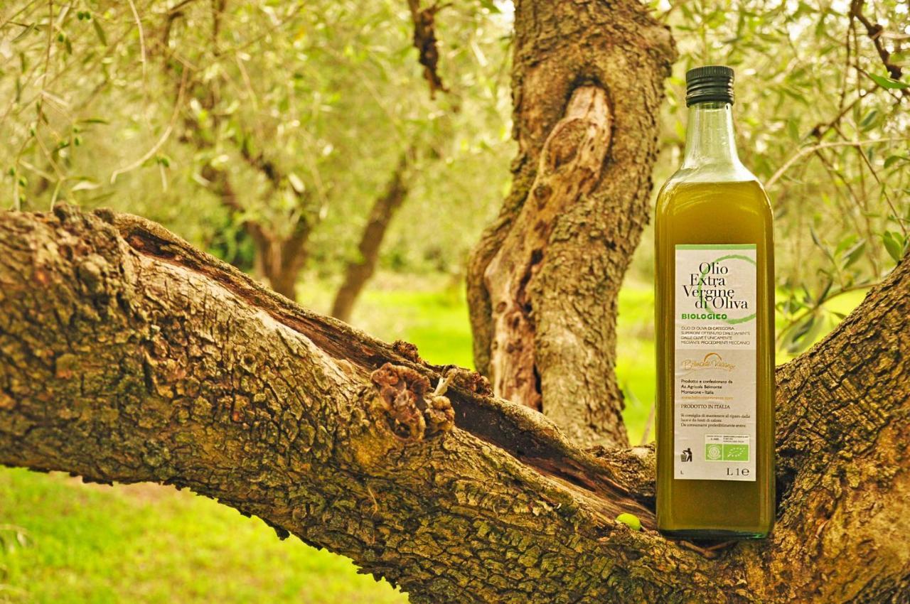 Agriturismo Eco-Bio Belmonte Vacanze Montaione Dış mekan fotoğraf
