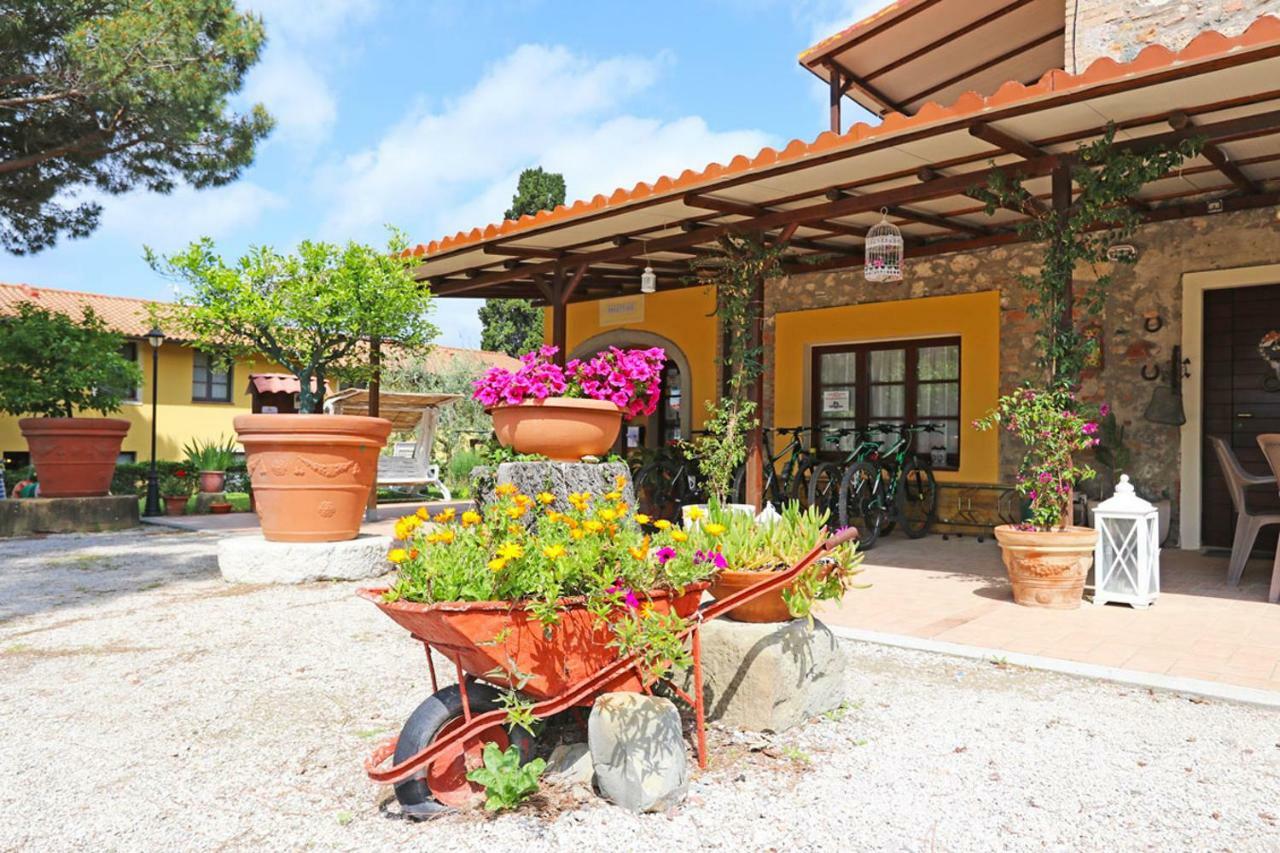 Agriturismo Eco-Bio Belmonte Vacanze Montaione Dış mekan fotoğraf