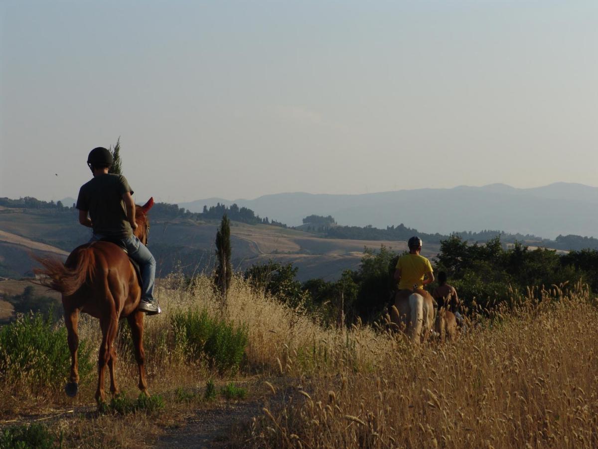 Agriturismo Eco-Bio Belmonte Vacanze Montaione Dış mekan fotoğraf